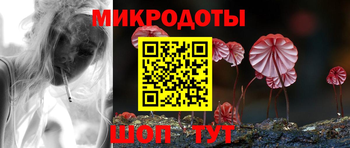 Псилоцибиновые грибы мицелий Волгоград